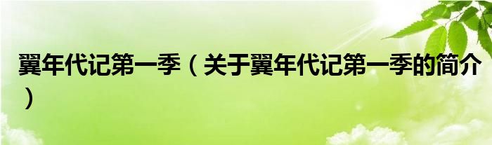 翼年代記第一季（關于翼年代記第一季的簡介）