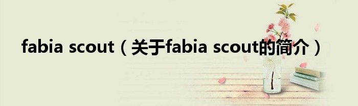 fabia scout（關(guān)于fabia scout的簡介）