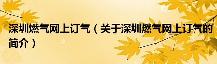 深圳燃?xì)饩W(wǎng)上訂氣（關(guān)于深圳燃?xì)饩W(wǎng)上訂氣的簡介）