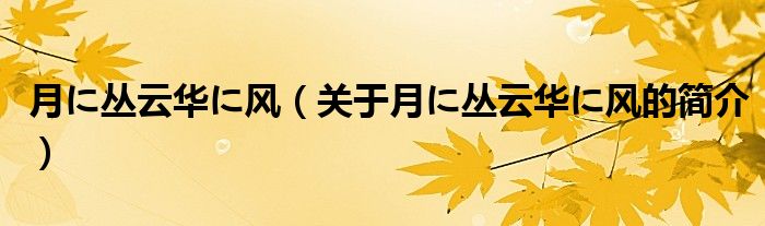 月に叢云華に風(fēng)（關(guān)于月に叢云華に風(fēng)的簡介）