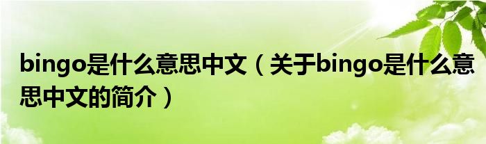 bingo是什么意思中文（關于bingo是什么意思中文的簡介）