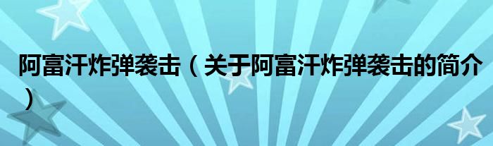 阿富汗炸彈襲擊（關于阿富汗炸彈襲擊的簡介）