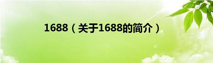 1688（關(guān)于1688的簡(jiǎn)介）