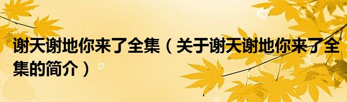 謝天謝地你來了全集（關(guān)于謝天謝地你來了全集的簡(jiǎn)介）