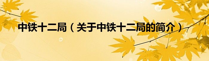 中鐵十二局（關(guān)于中鐵十二局的簡介）