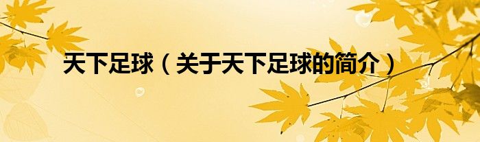 天下足球（關(guān)于天下足球的簡(jiǎn)介）