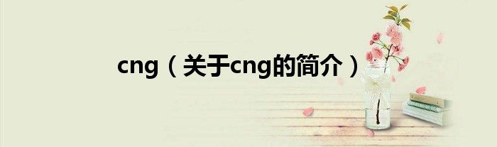 cng（關(guān)于cng的簡介）