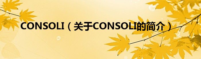 CONSOLI（關(guān)于CONSOLI的簡(jiǎn)介）