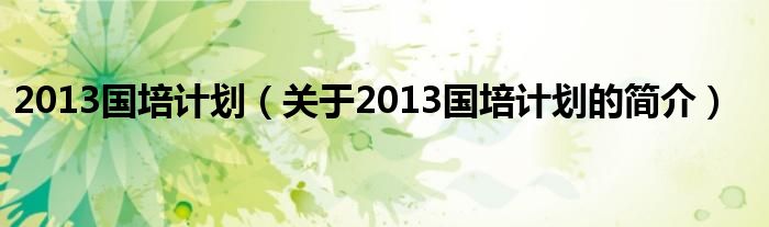 2013國培計(jì)劃（關(guān)于2013國培計(jì)劃的簡(jiǎn)介）