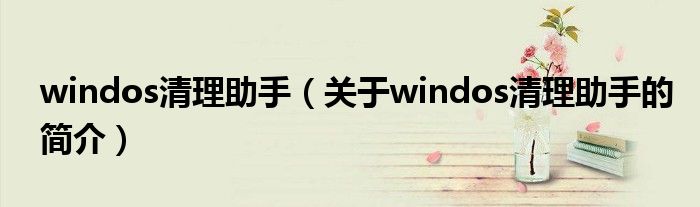 windos清理助手（關(guān)于windos清理助手的簡(jiǎn)介）