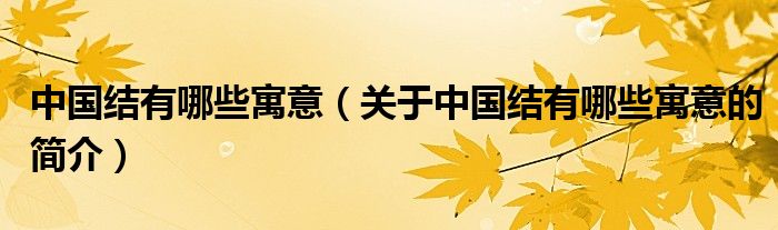 中國(guó)結(jié)有哪些寓意（關(guān)于中國(guó)結(jié)有哪些寓意的簡(jiǎn)介）