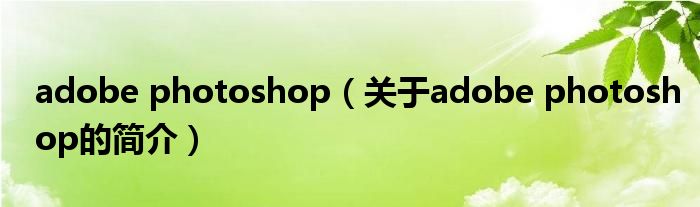 adobe photoshop（關(guān)于adobe photoshop的簡介）