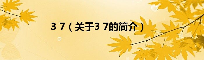 3 7（關(guān)于3 7的簡介）