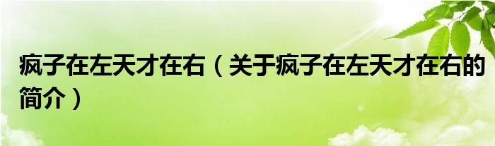 瘋子在左天才在右（關(guān)于瘋子在左天才在右的簡介）