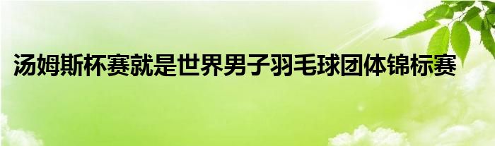 湯姆斯杯賽就是世界男子羽毛球團(tuán)體錦標(biāo)賽