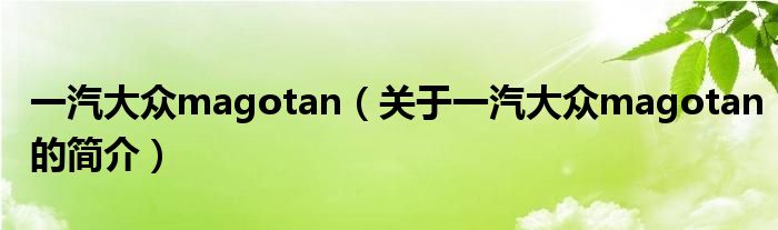 一汽大眾magotan（關(guān)于一汽大眾magotan的簡(jiǎn)介）