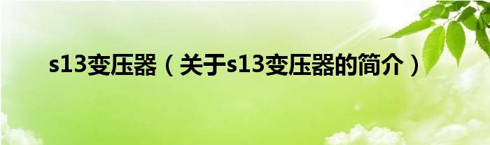 s13變壓器（關(guān)于s13變壓器的簡(jiǎn)介）