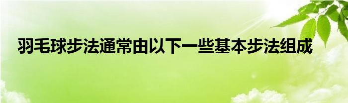 羽毛球步法通常由以下一些基本步法組成