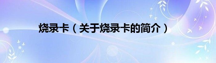 燒錄卡（關(guān)于燒錄卡的簡(jiǎn)介）