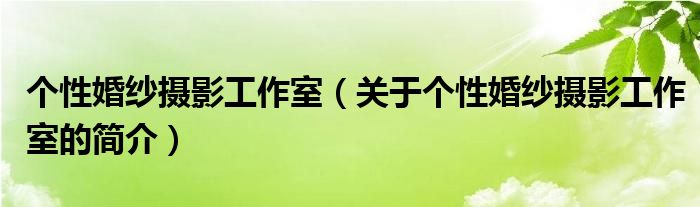 個(gè)性婚紗攝影工作室（關(guān)于個(gè)性婚紗攝影工作室的簡介）