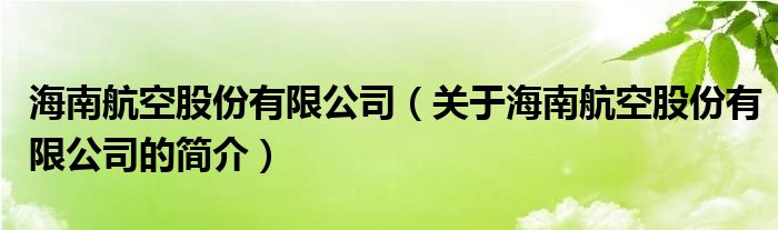 海南航空股份有限公司（關(guān)于海南航空股份有限公司的簡介）