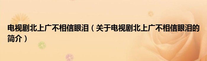 電視劇北上廣不相信眼淚（關(guān)于電視劇北上廣不相信眼淚的簡介）