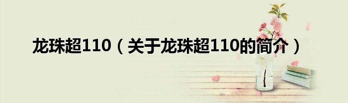 龍珠超110（關(guān)于龍珠超110的簡(jiǎn)介）