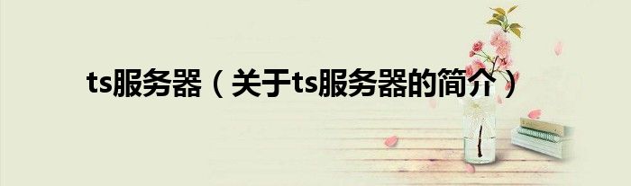 ts服務(wù)器（關(guān)于ts服務(wù)器的簡(jiǎn)介）