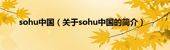 sohu中國（關(guān)于sohu中國的簡介）