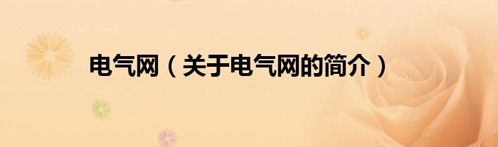 電氣網(wǎng)（關(guān)于電氣網(wǎng)的簡介）