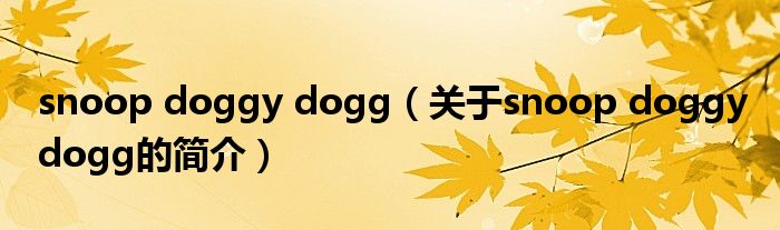 snoop doggy dogg（關于snoop doggy dogg的簡介）