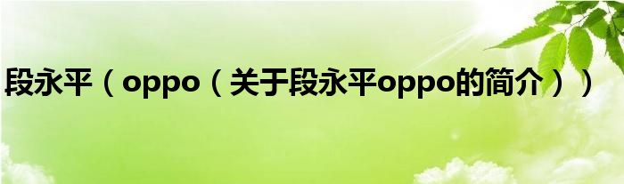 段永平（oppo（關(guān)于段永平oppo的簡介））