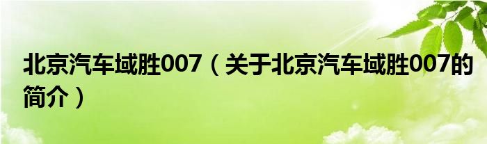 北京汽車域勝007（關(guān)于北京汽車域勝007的簡(jiǎn)介）