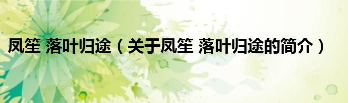 鳳笙 落葉歸途（關(guān)于鳳笙 落葉歸途的簡(jiǎn)介）