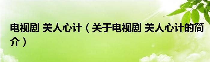 電視劇 美人心計(jì)（關(guān)于電視劇 美人心計(jì)的簡(jiǎn)介）