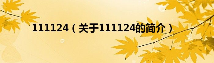 111124（關于111124的簡介）