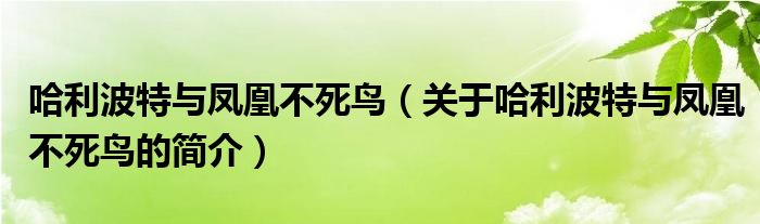 哈利波特與鳳凰不死鳥(niǎo)（關(guān)于哈利波特與鳳凰不死鳥(niǎo)的簡(jiǎn)介）