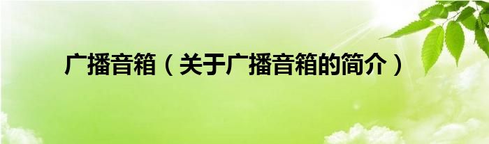 廣播音箱（關(guān)于廣播音箱的簡介）