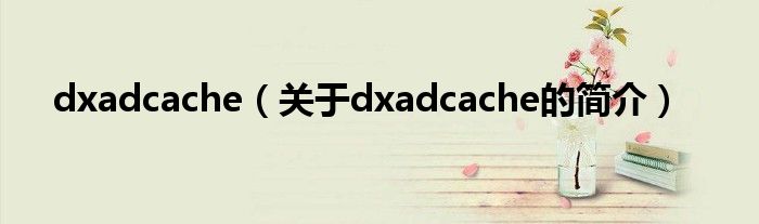 dxadcache（關(guān)于dxadcache的簡(jiǎn)介）