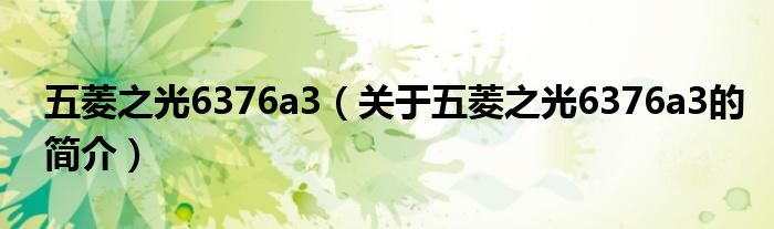 五菱之光6376a3（關(guān)于五菱之光6376a3的簡(jiǎn)介）