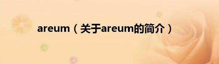 areum（關(guān)于areum的簡(jiǎn)介）