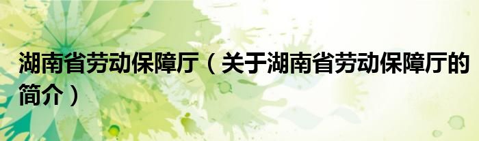 湖南省勞動保障廳（關(guān)于湖南省勞動保障廳的簡介）