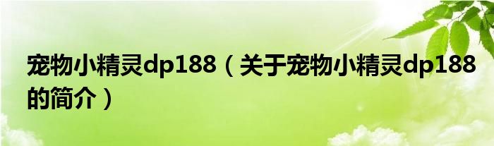 寵物小精靈dp188（關(guān)于寵物小精靈dp188的簡(jiǎn)介）