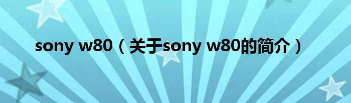 sony w80（關(guān)于sony w80的簡介）