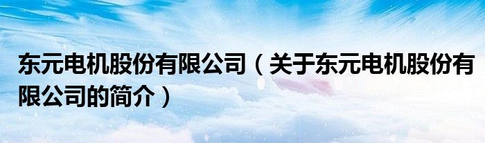 東元電機(jī)股份有限公司（關(guān)于東元電機(jī)股份有限公司的簡介）