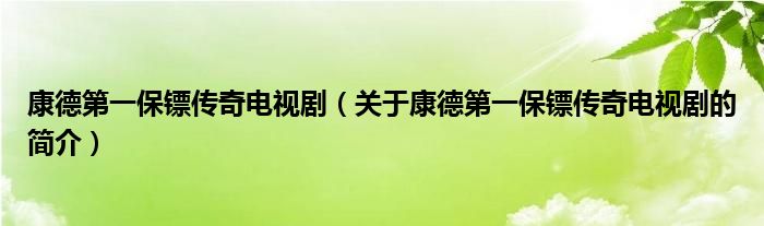 康德第一保鏢傳奇電視?。P(guān)于康德第一保鏢傳奇電視劇的簡介）