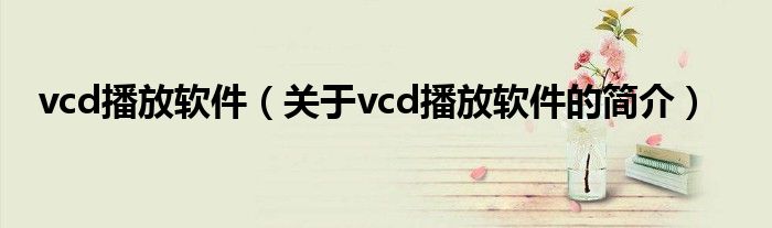 vcd播放軟件（關(guān)于vcd播放軟件的簡(jiǎn)介）