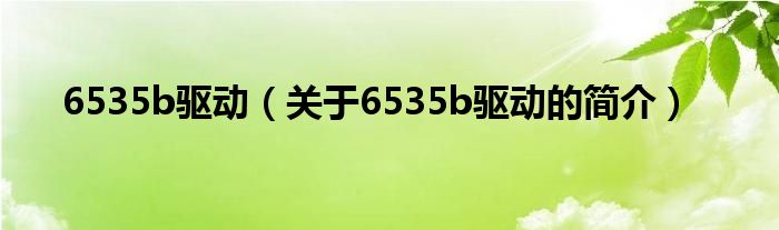 6535b驅(qū)動(dòng)（關(guān)于6535b驅(qū)動(dòng)的簡(jiǎn)介）