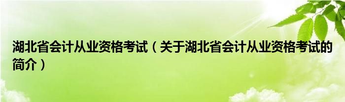 湖北省會(huì)計(jì)從業(yè)資格考試（關(guān)于湖北省會(huì)計(jì)從業(yè)資格考試的簡介）