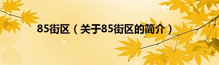 85街區(qū)（關于85街區(qū)的簡介）